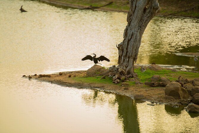 Yala National Park Private Safari Tour - Yala National Park: the scale that shapes your sightings