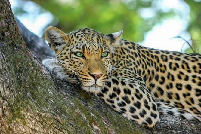 Yala National Park Safari from Weligama - Timing back to Weligama: a long day with a clear finish