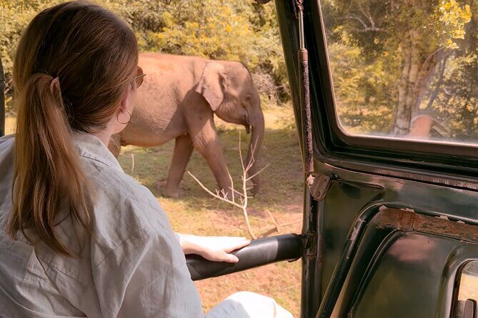 Yala National Park Safari FULLDAY and HALFDAY Expert Guided Tour - Key highlights worth planning around