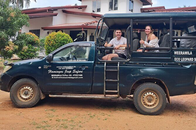 Yala National Park Safari FULLDAY and HALFDAY Expert Guided Tour - Afternoon wildlife: what changes after 2:00 PM