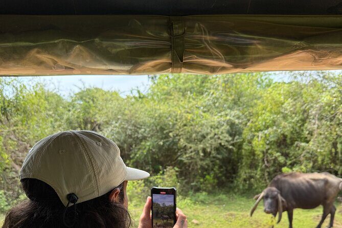 Yala National Park Safari FULLDAY and HALFDAY Expert Guided Tour - Price and Logistics: the real cost you should calculate