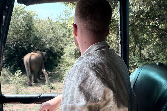 Yala National Park Safari FULLDAY and HALFDAY Expert Guided Tour - Big three strategy: leopards, elephants, and sloth bears without wasting daylight