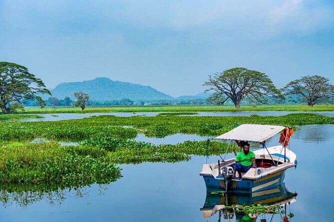 Yala National Park Safari - Half day and Full day - Price and value: is $20 per person good for Yala?