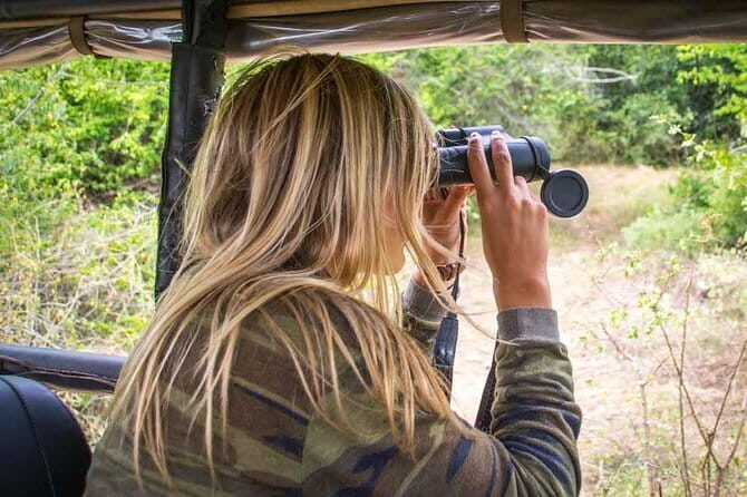 Yala National Park Safari - Half day and Full day - Private safari for your group: when that matters (and when it doesn’t)