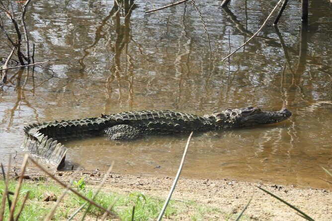 Yala National Park Safari | Jeep with Tickets - Stop 1: the Palatupana side of Yala and what to expect on the ride