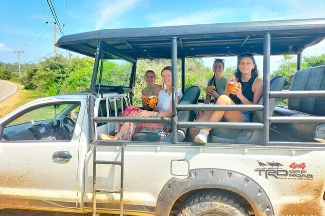 Yala National Park Safari Tours From Hambantota port - Why Yala is a leopard-first safari (and what that means for your day)