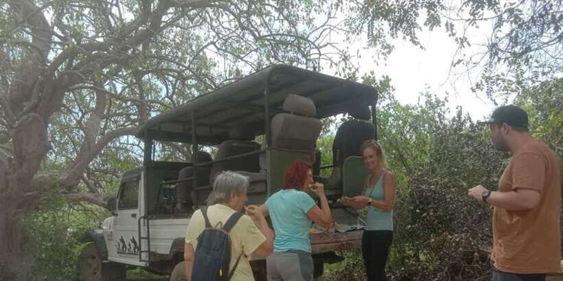 Yala National Park Sharing Safari (5 Hours) - From Kotapola and Your Hotel to the Park in a 4WD Jeep