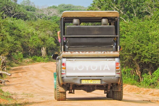 Yala National Park special Half-Day & Full-Day Safari Adventure - What you eat and drink: the full-day picnic lunch details