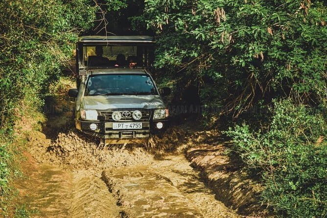 Yala National Park special Half-Day & Full-Day Safari Adventure - Stop in Yala National Park and what to notice beyond the animals