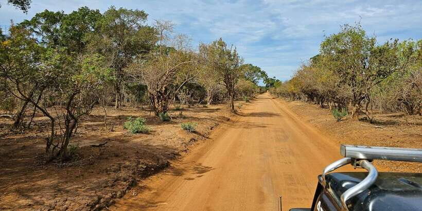 Yala National Park Wildlife safari from Mirissa - Key things that make this safari work