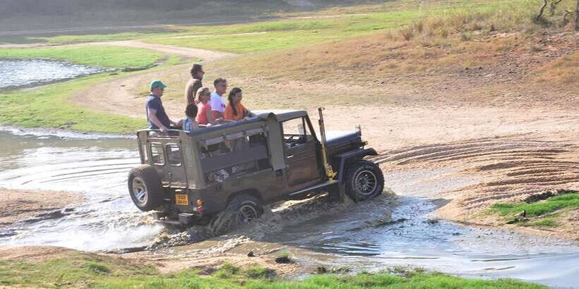 Yala Private Safari: Half-Day or Full-Day with Picnic Lunch - Timing Choices: Morning, Afternoon, or Full-Day (and Why You Should Care)