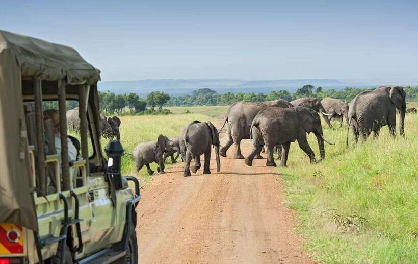 Yala Safari : 7 hour & 12 hour Tours - How “guided” you’ll feel: what to expect from the experience style