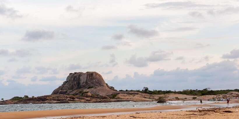 Yala Safari All-Inclusive Package with Convenient Pick Up - The Day Flow: How 3–4 Hours in the Park Can Turn Into More Time