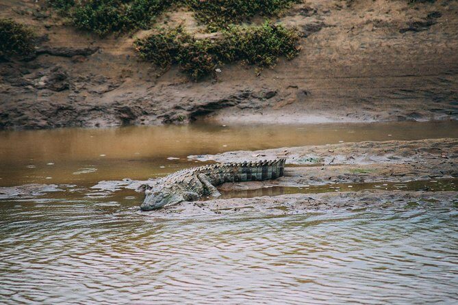 Yala Safari from Hambantota Port by BTM - Private & All Inclusive - Communication and meeting up: the small thing that prevents big headaches