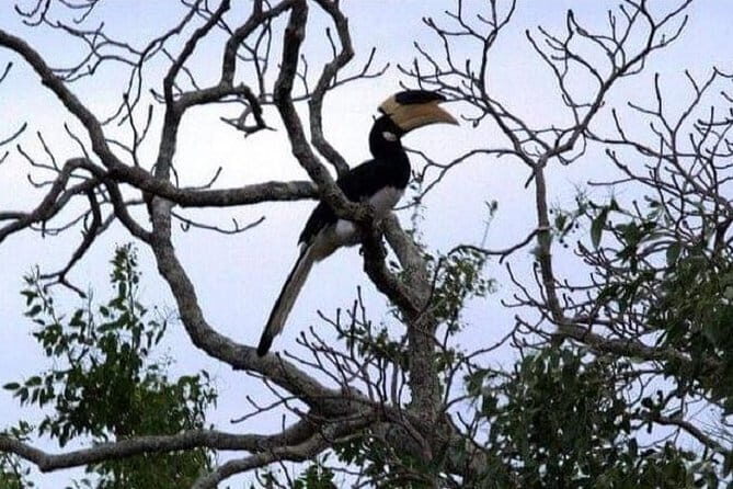 Yala Safari Private Day Tour From Kaluthara/Beruwala/Bentota/Kosgoda/Ahungalla - Why Yala from Bentota works as a day trip