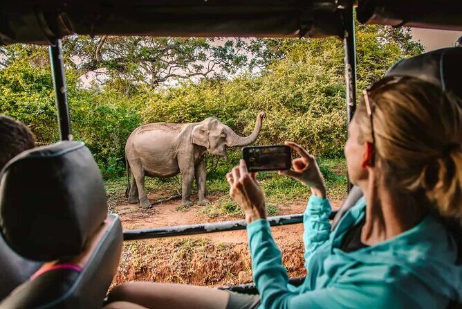 Yala Safari Tour from Hambantota Port by Ajith Safaris - Key things I’d zero in on before you go