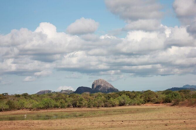 Yala safari Tours Morning /Afternoon /Fullday - Price and value: what $36.41 buys you (and what it might not)