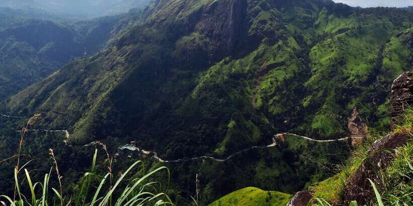 Zip Lining in Ella - Who Should Do It (and Who Should Skip It)